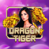 Dragon Tiger on wowowin live casino