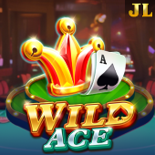 Wild Ace on wowowin